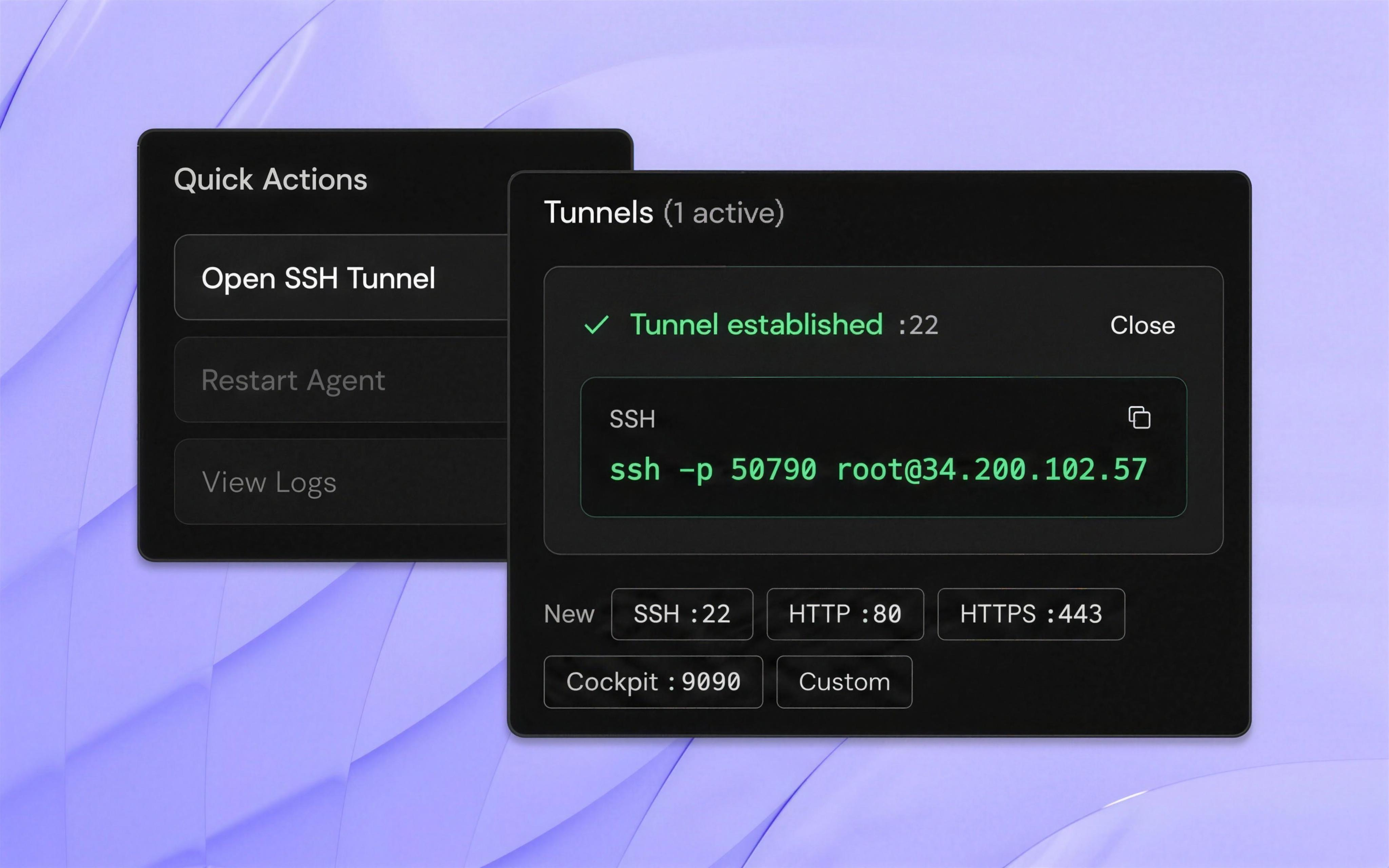 Avocado Connect device page with a tunnel established on port 22 and the port presets